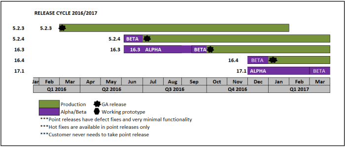 Agile Development Quarterly Release